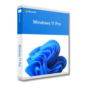 Windows 11 Pro