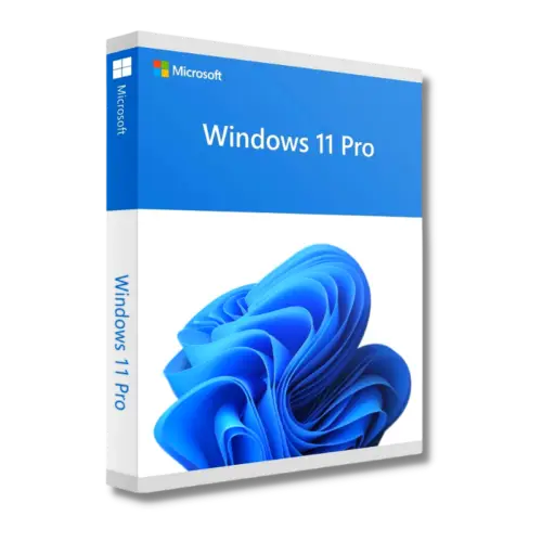 Windows 11 Windows 11 Pro